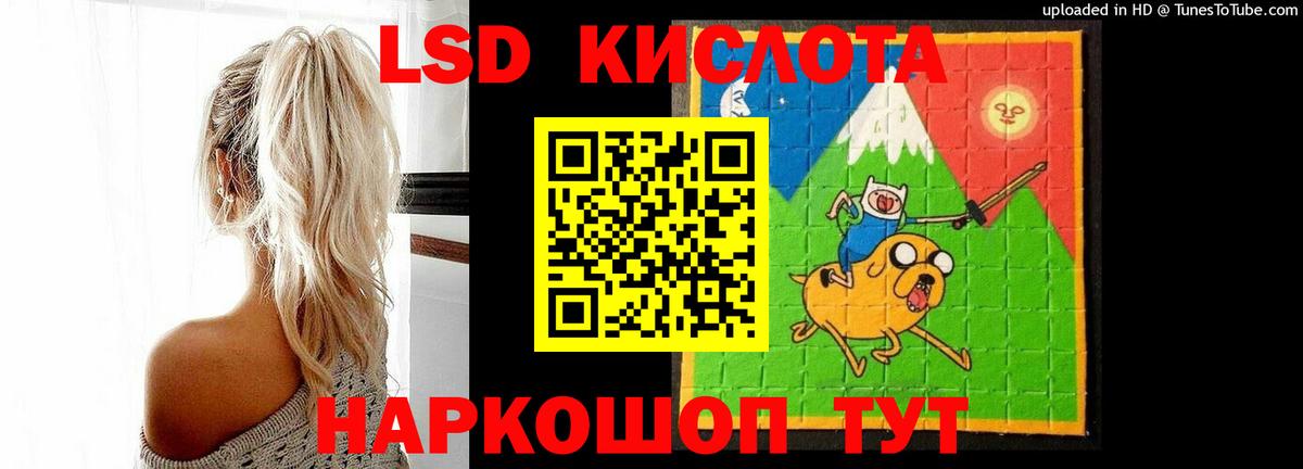 гидра онион  LSD-25 экстази кислота  LSD-25 экстази кислота  Вход с VPN  Зеленокумск 