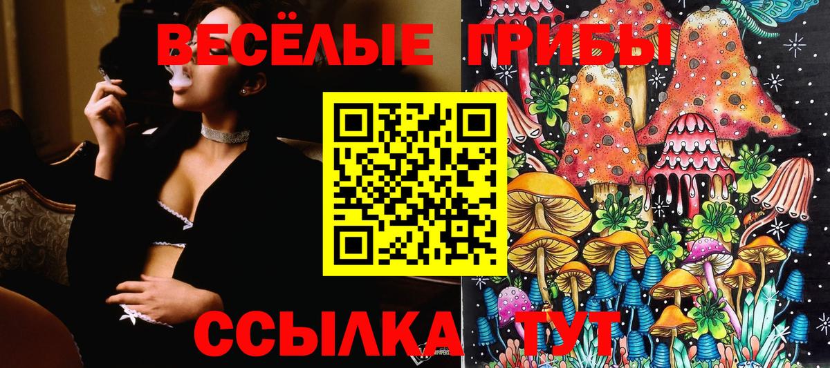 Псилоцибиновые грибы Psilocybe Зеленокумск