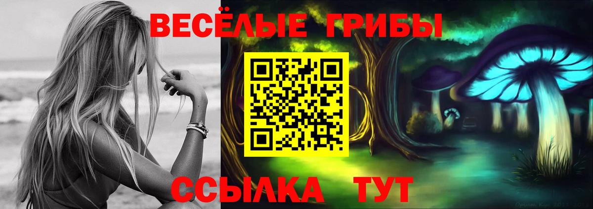 Зеленокумск  Галлюциногенные грибы прущие грибы  Вход с VPN 